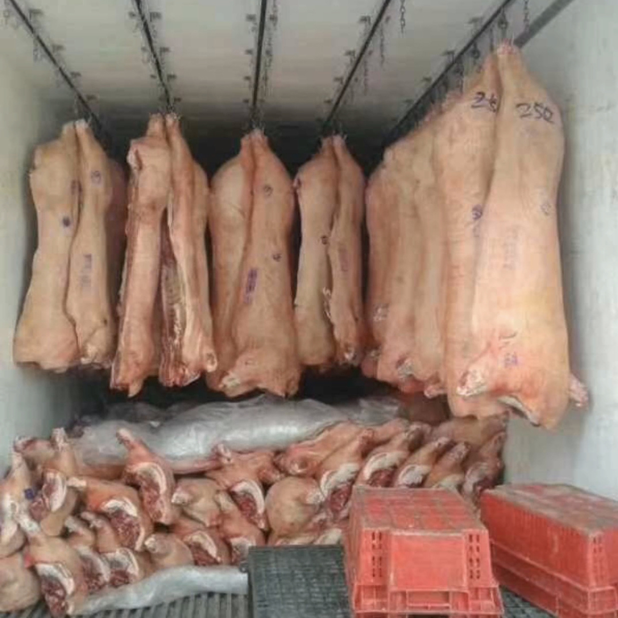 16ft بيع هيئة شاحنة متنقلة اللحوم